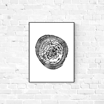 Pecky Sinker Cypress, 18"x24" unframed – Timber Wood Prints