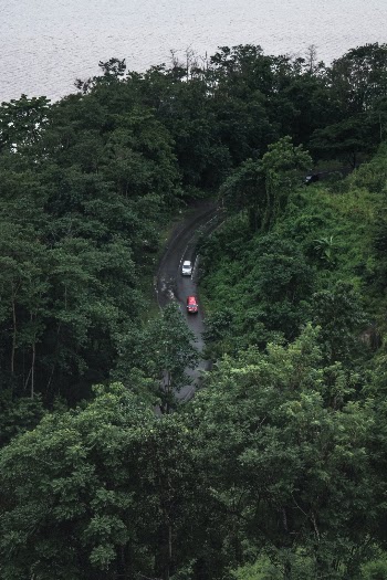 peeking the road