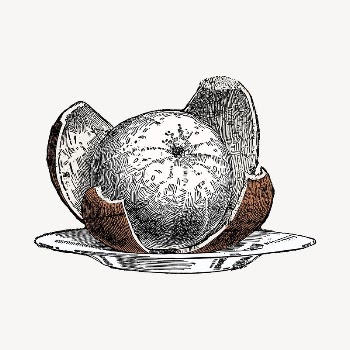 Peeled orange clipart, vintage hand | Free Vector - rawpixel
