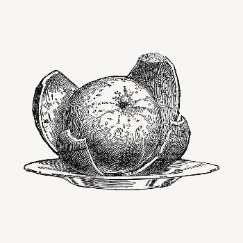 Peeled orange clipart, vintage hand | Free Vector - rawpixel