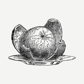 Peeled orange drawing, vintage illustration | Free PSD - rawpixel