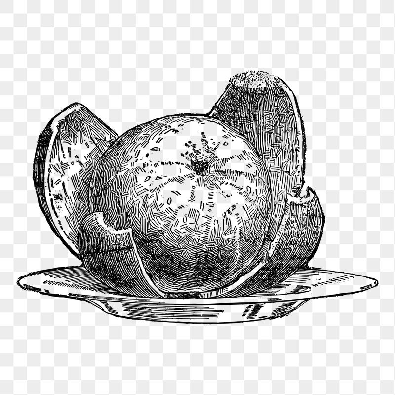 Peeled orange png sticker illustration, | Free PNG - rawpixel