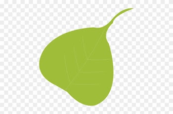 Peepal Tree Leaf Png