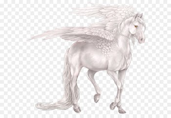 Pegasus Horse Unicorn Wallpaper - Pegasus PNG 