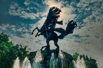 Pegasus Illustration
