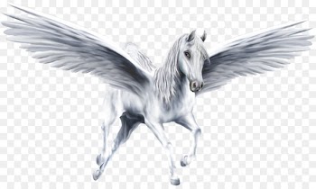 Pegasus Legendary creature Unicorn - pegasus 