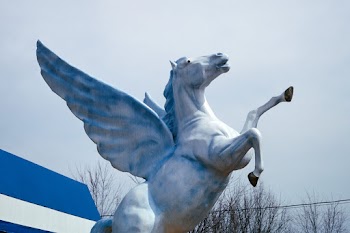 Pegasus statue detail, Fantasy mini golf,… | Free public domain photo