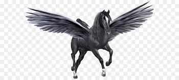 Pegasus Unicorn Horse Black - Pegasus PNG 