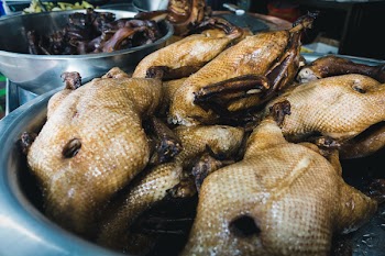 Peking ducks 