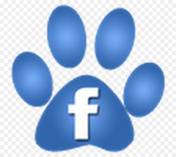 Pekingese Paw Cat Moses Lake Veterinary Clinic Facebook - Cat 