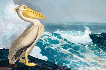 Pelican bird background, blue ocean | Free Photo Illustration - rawpixel