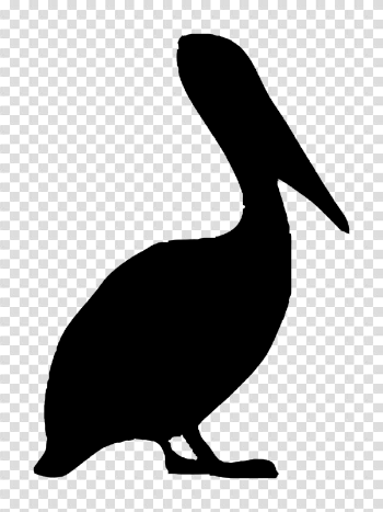 Pelican PNG Transparent Image