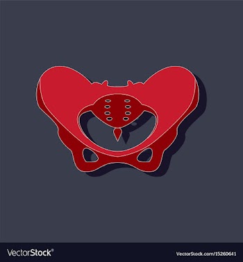 Pelvic bones paper sticker on stylish background vector image