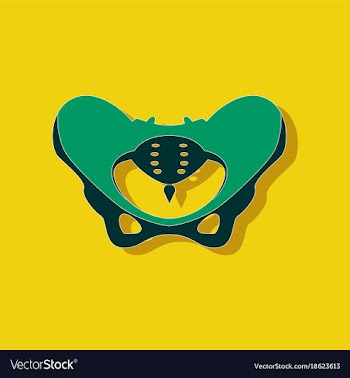 Pelvic bones paper sticker on stylish background vector image