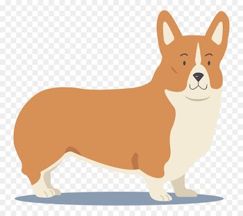 Pembroke Welsh Corgi Cardigan Welsh Corgi Bulldog Puppy - puppy 