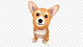 Pembroke Welsh Corgi Cardigan Welsh Corgi Dog breed Puppy - puppy 