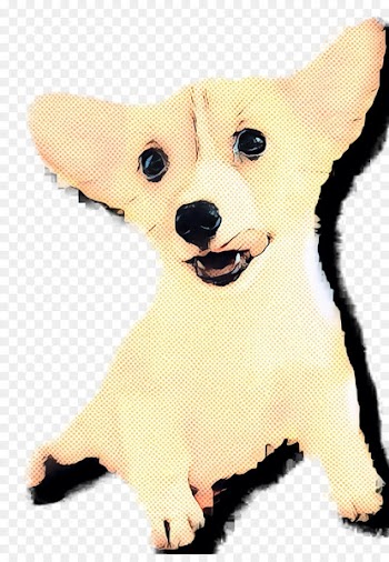 Pembroke Welsh Corgi, Puppy, Dog Breed, Mammal, Vertebrate PNG