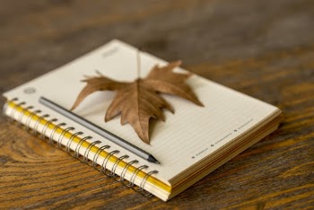 Pencil on Spiral Notebook