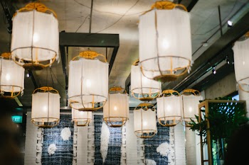 Pendant Lamps