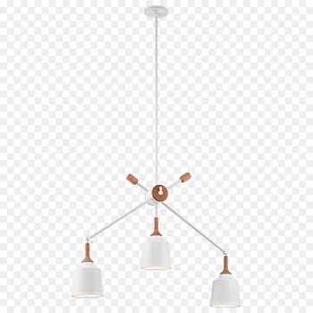 Pendant light Lighting Light fixture Chandelier - linear light 