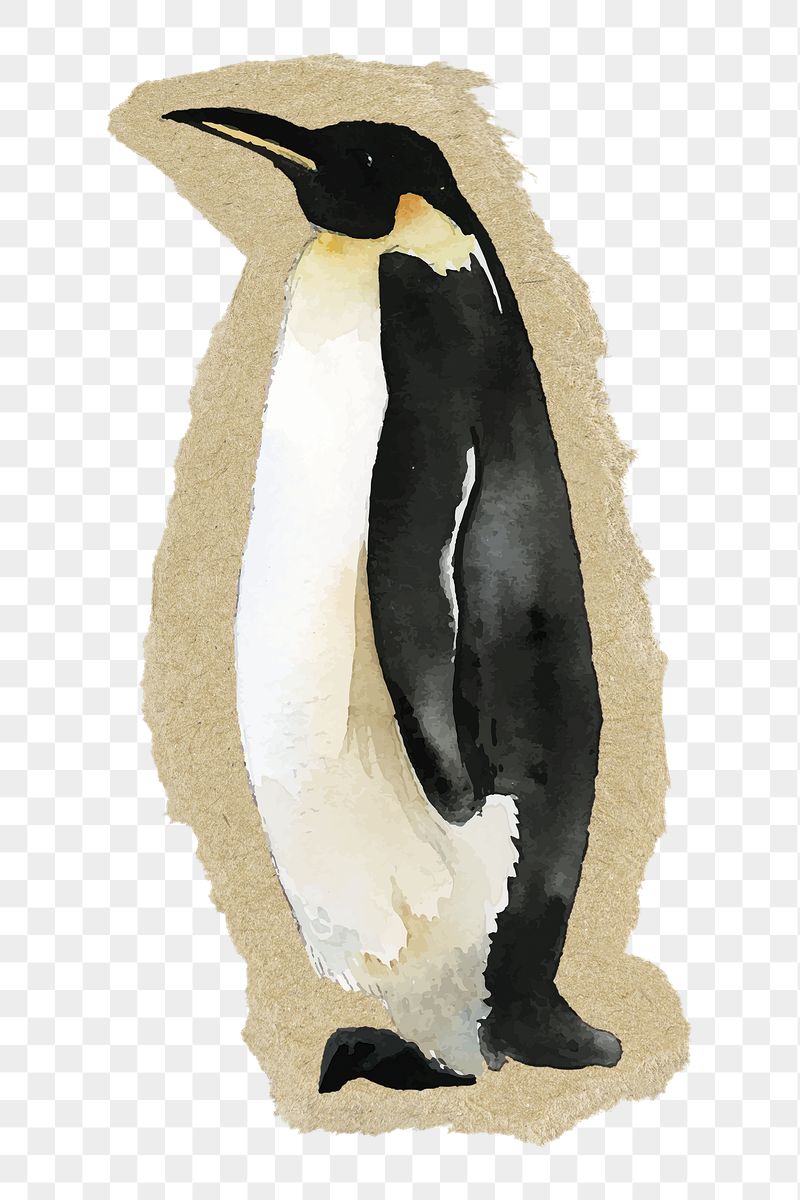 Penguin animal png sticker, ripped | Free PNG Illustration - rawpixel