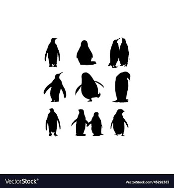 penguin animal set collection design