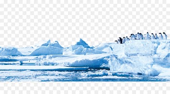 Penguin Antarctica Glacier Iceberg - iceberg 