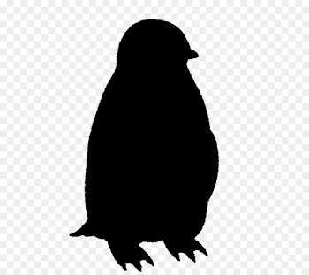 Penguin Clip art Beak Fauna Silhouette -  