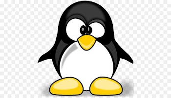 Penguin Clip art Portable Network Graphics Cartoon Vector graphics - penguin 
