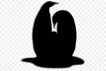 Penguin Clip art Silhouette Beak -  