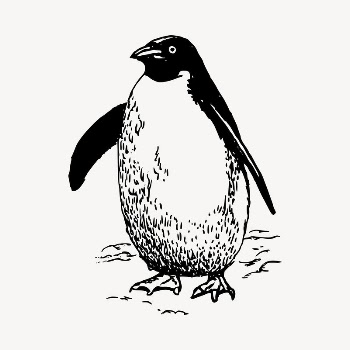 Penguin clipart, vintage hand drawn | Free Vector - rawpixel
