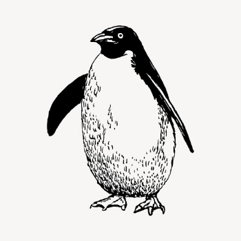 Penguin clipart, vintage wildlife illustration | Free Vector - rawpixel