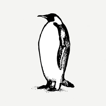Penguin collage element, black & | Free PSD Illustration - rawpixel