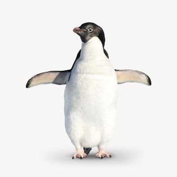 Penguin collage element, North Pole | Free PSD - rawpixel