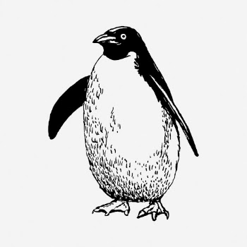 Penguin drawing, vintage wildlife illustration. | Free Photo - rawpixel