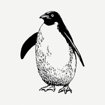 Penguin drawing, wildlife vintage illustration | Free PSD - rawpixel