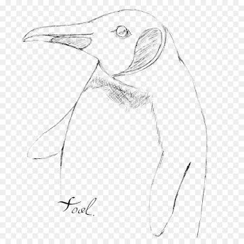 Penguin Ducks, Geese and Swans Bird Goose Sketch - penguin 