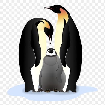 Penguin family png sticker clipart, | Free PNG - rawpixel