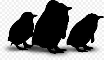 Penguin Fauna Silhouette Beak -  