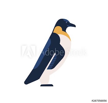 Penguin flat vector illustration
