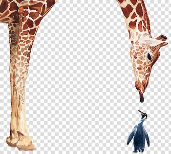 Penguin Giraffe Bird Poster Watercolor painting, Giraffes and penguins realistic watercolor transparent background PNG clipart