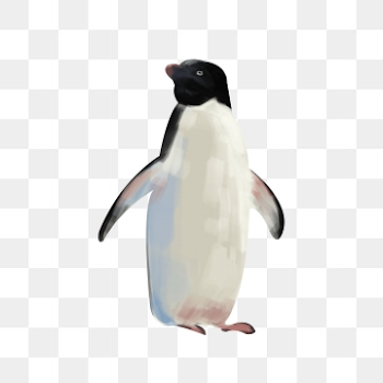 Penguin Illustration PNG Images | Vectors and PSD Files | Free ...