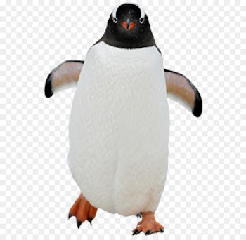 Penguin Kowalski Portable Network Graphics Clip art Skipper - penguin 