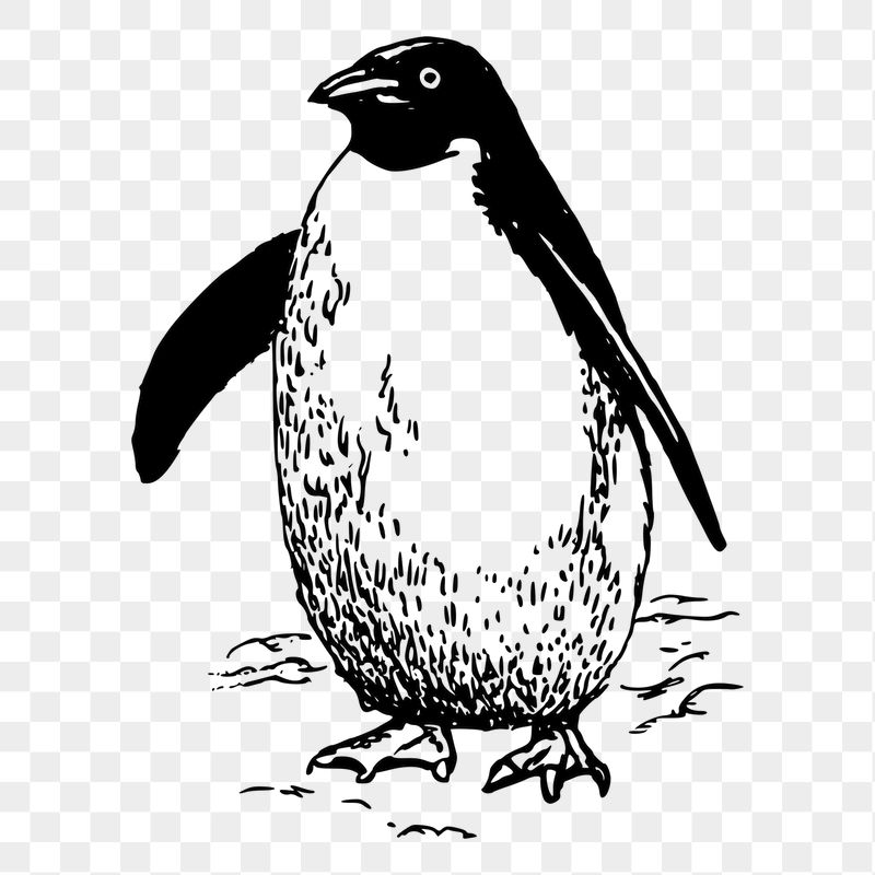 Penguin png sticker illustration, transparent | Free PNG - rawpixel