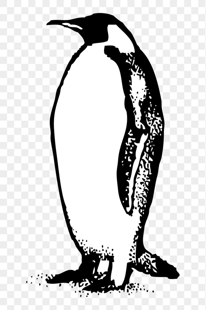 Penguin png sticker illustration, transparent | Free PNG - rawpixel