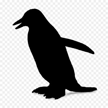 Penguin Sea lion Fauna Beak -  