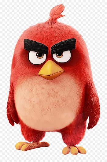 Penguin, Stuffed Animals Cuddly Toys, Wiki, Angry Birds, Red PNG