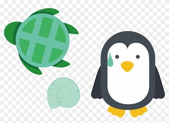 Penguin Turtle Clip Art - Twisted Envy Penguin Congratulations Graduate! Novelty