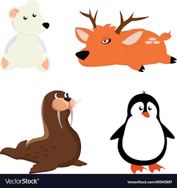 penguin white bear deer lionsea