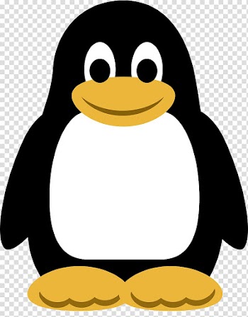 Penguin Xiaomi Mi4i Christmas , Linux logo transparent background PNG clipart